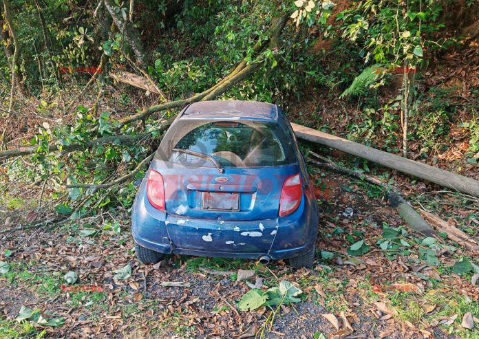 Choca contra poste y árbol en el Bulevar Xalapa-Coatepec