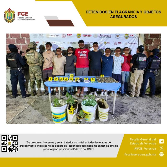 Cateo en Santiago Tuxtla deja 8 detenidos e indicios asegurados